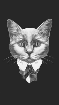 社会猫老大-拍信图库