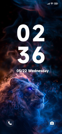 Star Lion