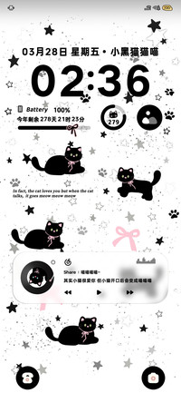 小黑猫猫
