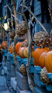 halloween (11)