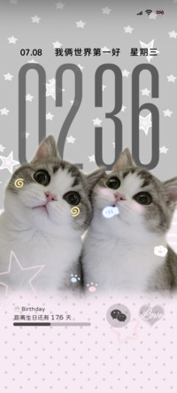哈基米 ins风小猫咪