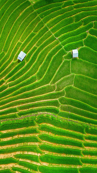Southeast Asian landscapes