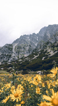Nature B5 (23)