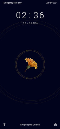 Marigold_3MDS
