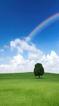 Green Field