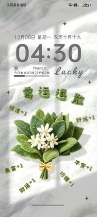 柚子叶 霉运退散