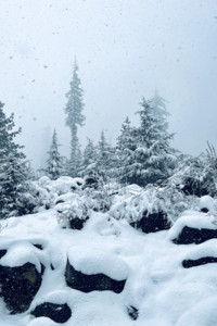 Snowfall.png