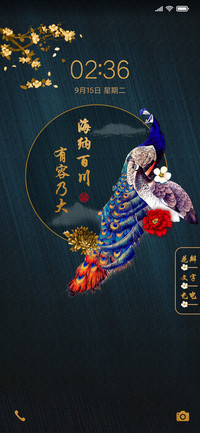 花开好运孔雀