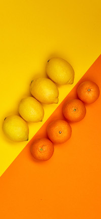 Creative Fruits-PAIXIN