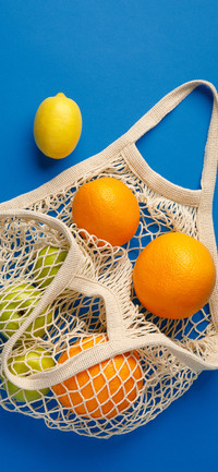 Creative Fruits-PAIXIN
