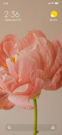 Blossom
