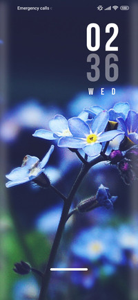 Flower_life