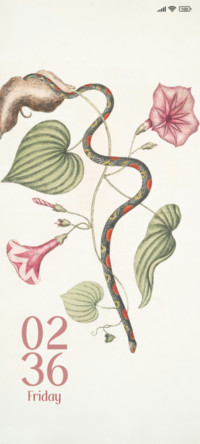 Wild Harmony