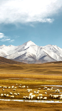 The next station of qilian mountain