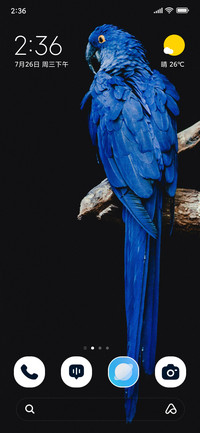 Blue Parrot