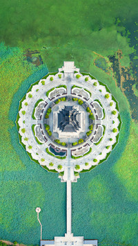 The composition of the water mandala is simply amazing