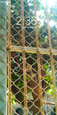 Zoo_DWM2