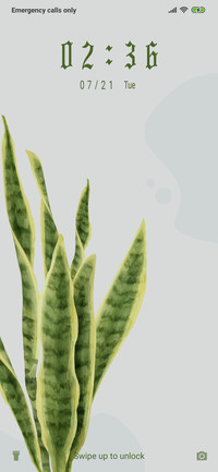 Plant - Light_3MDS