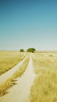 公路