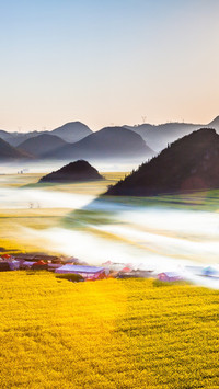 美丽田野植物风景纸