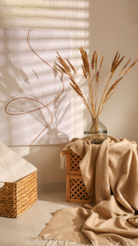 Vase with dried plants in a stylish room