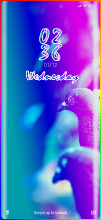Wildlife_ Pigeon
