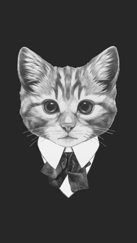 社会猫老大-拍信图库
