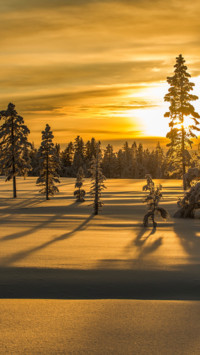 Norway (13)