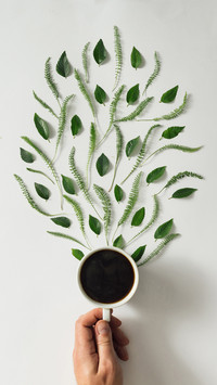 Creative Foods-PAIXIN