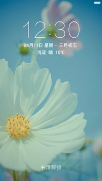 背景虚化花朵特写 唯美清新 右滑解锁