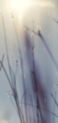 7字情书