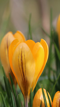 112546_1440x2560.jpg
