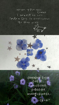 治愈系生活感拼接风-锐景创意