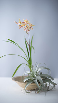 东方式插花
