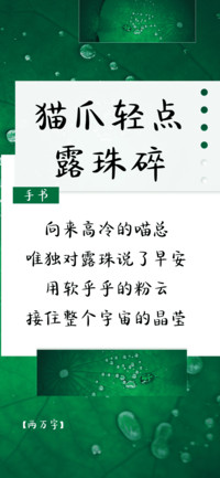 猫爪轻点露珠碎