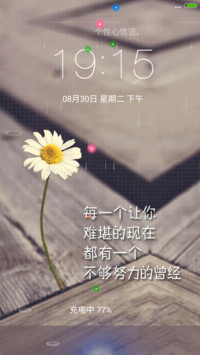 残菊（4D动态流星下雨）