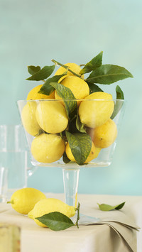 What is the difference between green lemon and yellow lemon