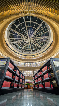 Quiet reading in library 3