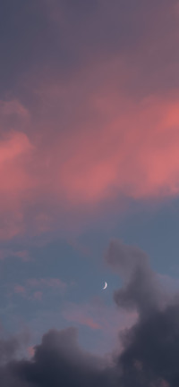 收集浪漫