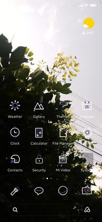 GrayX