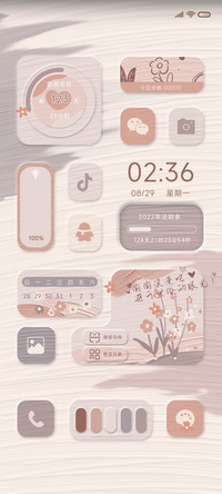 花样年华莫兰迪