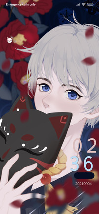 Fox boy