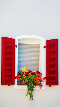 The flowers on the windowsill