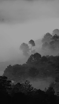 black nature landscape