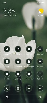 Tulips