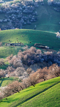 China has the most beautiful spring in the world