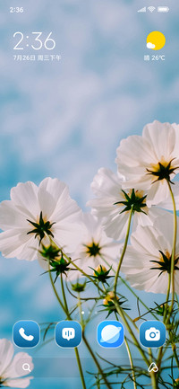 Petaled Flowers