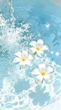 春日浮花