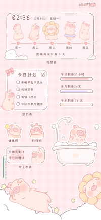 呆萌猪猪日常
