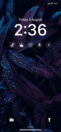PROJECT [OS]